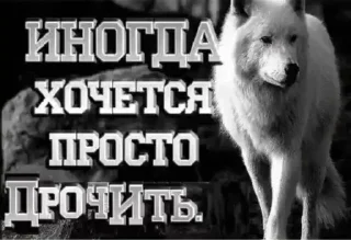 Стикер @sticksbb 🩷 <- канал со стиками - 8