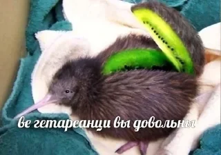 Стикер Больше стиков тут: @stikery4 - 10