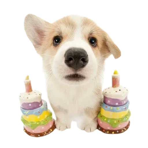 Sticker DGyPEDeTOLwr_by_stickers_stealer_bot - 1