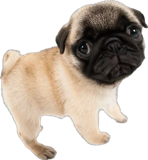 Sticker DGyPEDeTOLwr_by_stickers_stealer_bot - 1