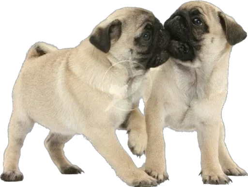 Sticker DGyPEDeTOLwr_by_stickers_stealer_bot - 1