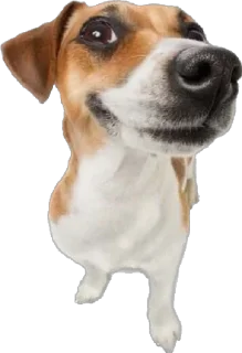 Sticker Больше стикеров 👉🏻 @stickertg4 - 1