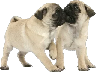 Sticker Больше стикеров 👉🏻 @stickertg4 - 3