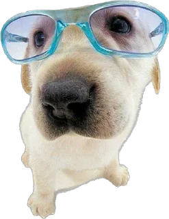 Sticker Больше стикеров 👉🏻 @stickertg4 - 9