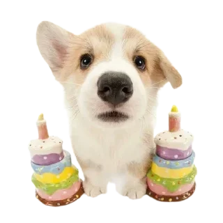 Sticker Больше стикеров 👉🏻 @stickertg4 - 11