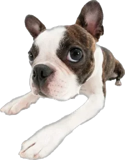 Sticker Больше стикеров 👉🏻 @stickertg4 - 2