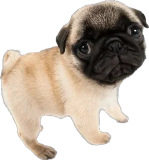 Sticker Больше стикеров 👉🏻 @stickertg4 - 8