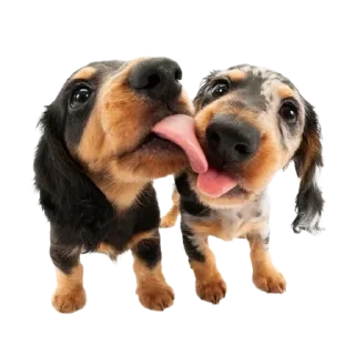 Sticker Больше стикеров 👉🏻 @stickertg4 - 6