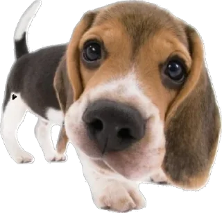 Sticker Больше стикеров 👉🏻 @stickertg4 - 7