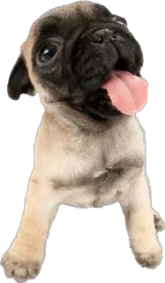 Sticker Больше стикеров 👉🏻 @stickertg4 - 4