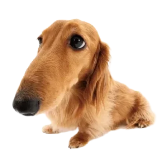 Sticker Больше стикеров 👉🏻 @stickertg4 - 0