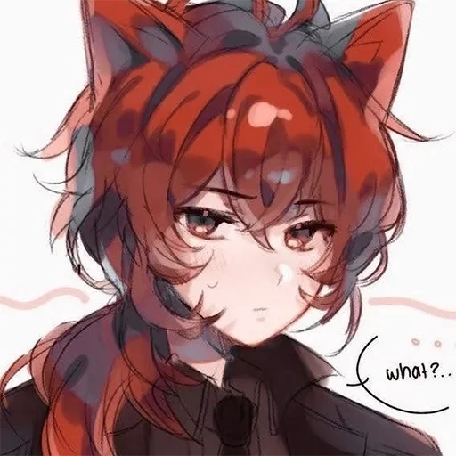 Sticker DILUCANDAGATAT - 1