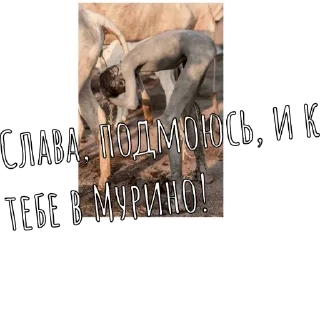 Sticker DIZZlike - 6