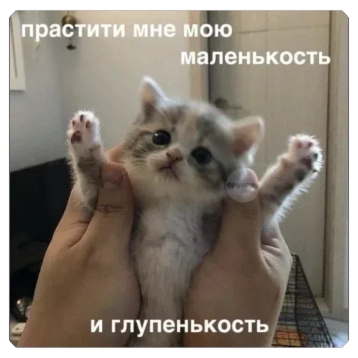 Sticker DJANJmb_by_achestickbot - 1