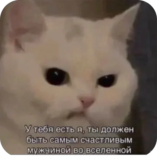 Sticker DJANJmb_by_achestickbot - 1