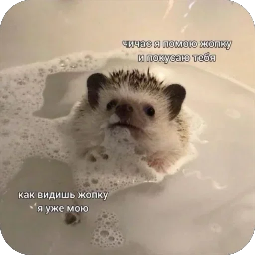 Sticker DJANJmb_by_achestickbot - 1