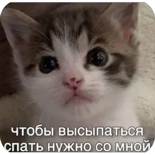 Sticker Больше стиков тут: @stikery4 - 3