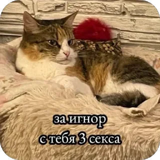 Sticker Больше стиков тут: @stikery4 - 1