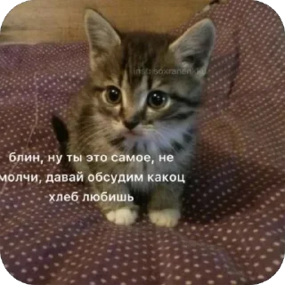 Sticker Больше стиков тут: @stikery4 - 2