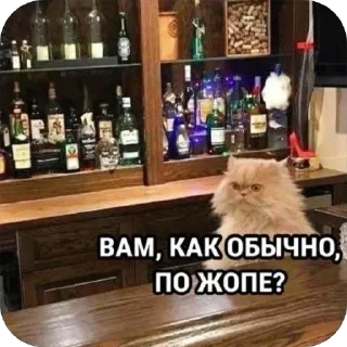 Sticker Больше стиков тут: @stikery4 - 10