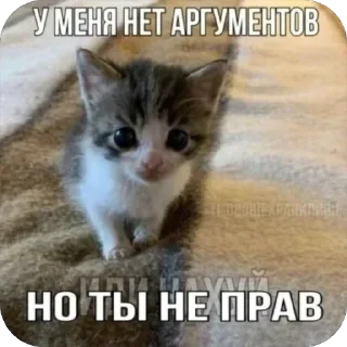 Sticker Больше стиков тут: @stikery4 - 9