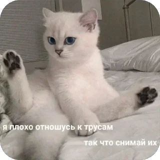 Sticker Больше стиков тут: @stikery4 - 6
