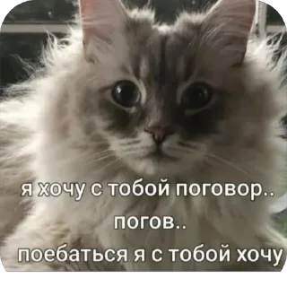 Sticker Больше стиков тут: @stikery4 - 4