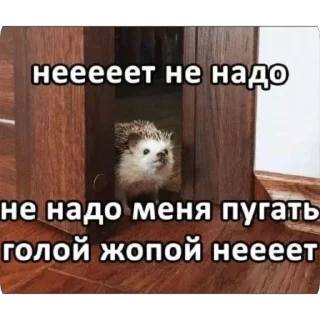 Sticker Больше стиков тут: @stikery4 - 8