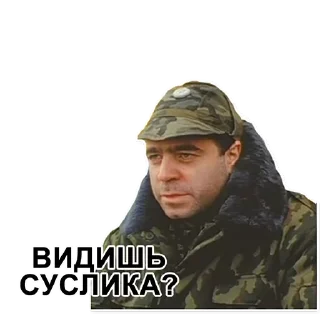 Стикер DMB @stickersb2b - 11