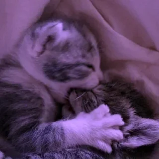 Sticker Больше стикеров 👉🏻 @stickertg4 - 1