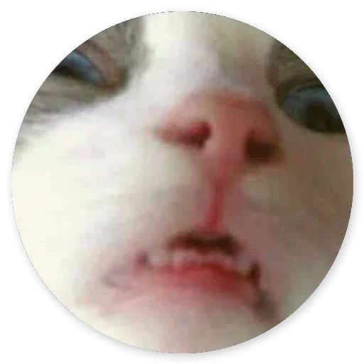 Макросъемка лицо