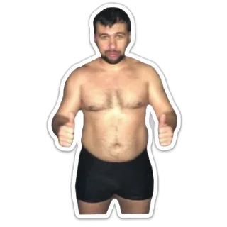 Sticker DONBASSBORN - 1