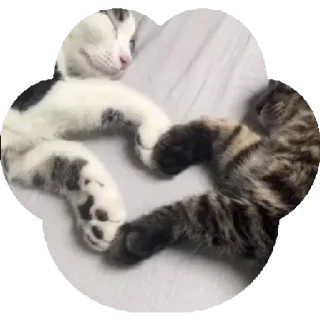 Sticker Больше стиков тут: @stikeryk - 7