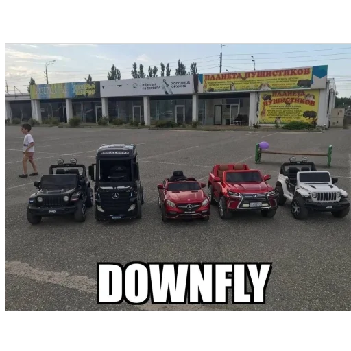 Sticker DOWNFLY6 - 1