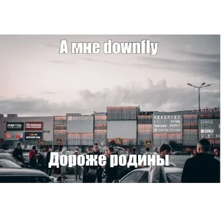 Sticker DOWNFLY STICKER - 3