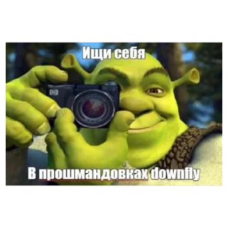 Sticker DOWNFLY STICKER - 9