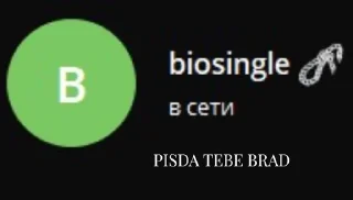 text font screenshot