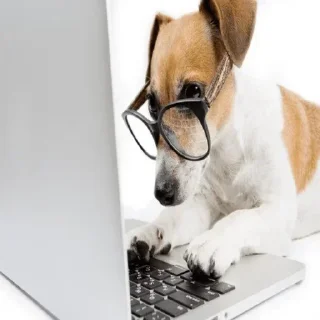 Sticker Новые стикеры в @stikeriq - 8