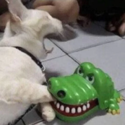 Sticker DP_by_StickerzzzApp_bot - 1