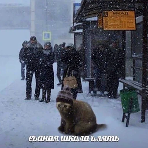 Sticker DP_by_StickerzzzApp_bot - 1