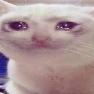 Sticker DP TEAM стикеры - 3