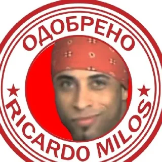 Sticker DP TEAM стикеры - 4