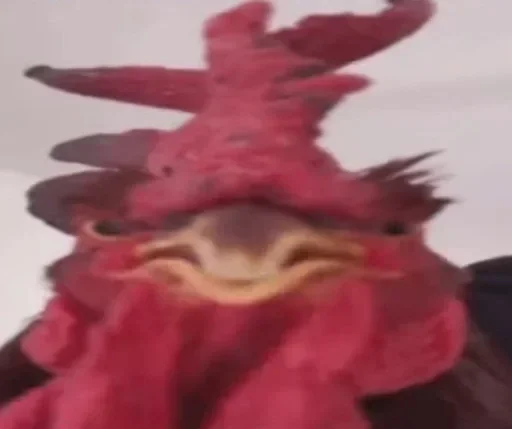 Sticker DQjkoBFbYvve_by_stickers_stealer_bot - 1