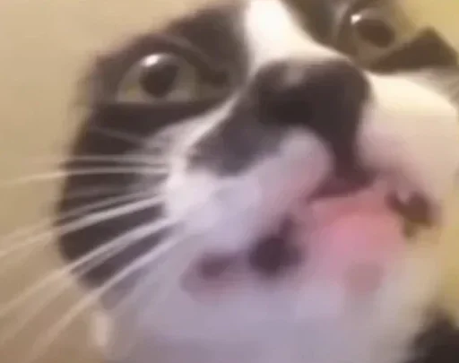 Стикер DQjkoBFbYvve_by_stickers_stealer_bot - 1