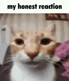 Sticker @stiki_tg_nah_canal - 6