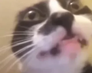 Sticker @stiki_tg_nah_canal - 4