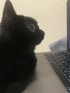 Sticker @stiki_tg_nah_canal - 8