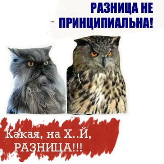 Sticker DOBRYI_18+ - 2