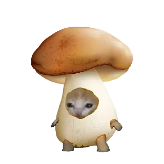 Sticker Стики 1735 из @Anonymnyi_chat_bot - 10