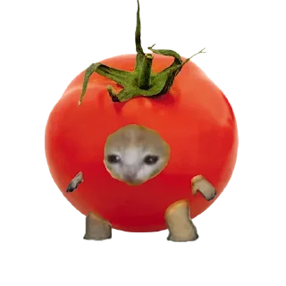 Sticker Стики 1735 из @Anonymnyi_chat_bot - 7